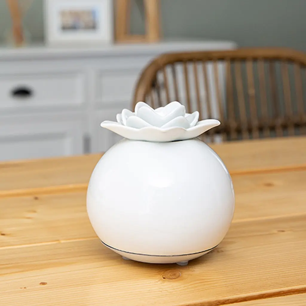DIFFUSEUR NELUMBO POUR HUILES ESSENTIELLES (2).webp