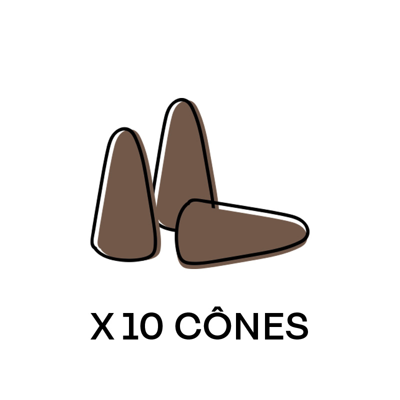 [GALEO106514] POCHETTE 10 CONES ENCENS APHRODISIAQUE