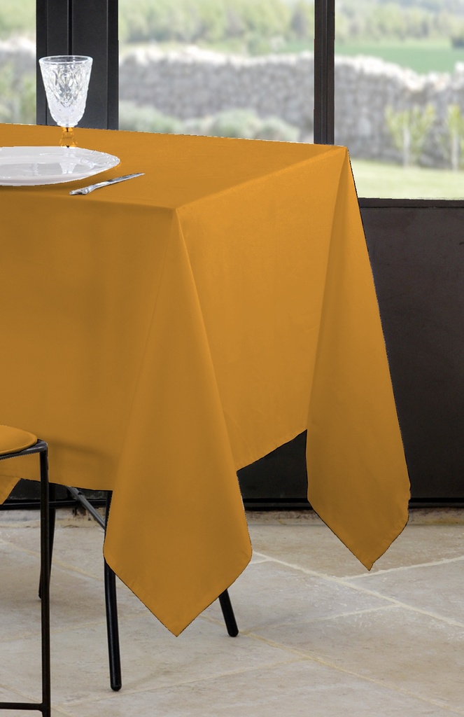 [STOFN214689036] NAPPE NELSON 180X180 CM
GRAMY - 100%PE 